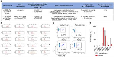 Asymptomatic Infant With Atypical SCID and Novel Hypomorphic RAG Variant Identified by Newborn Screening: A Diagnostic and Treatment Dilemma